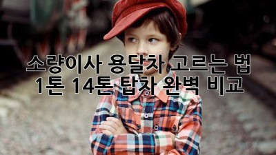 소량이사, 용달차 고르는 법 🤔 1톤? 1.4톤? 탑차? 완벽 비교!